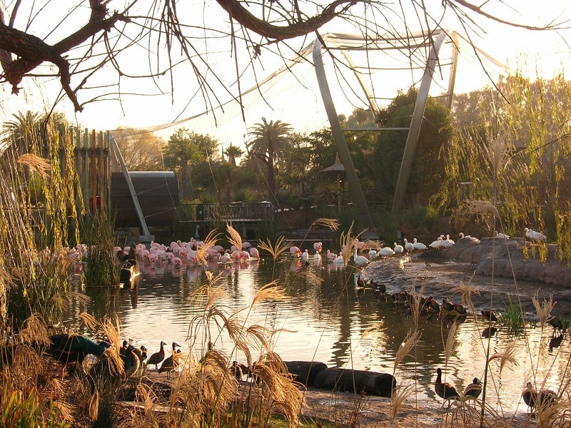Bioparque Temaikèn em Buenos Aires