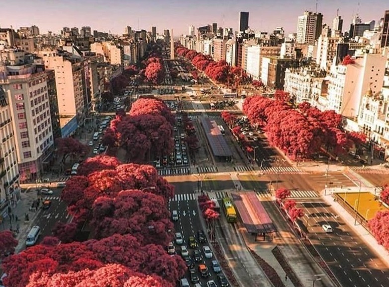 Outono em Buenos Aires