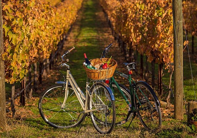 Tour pelos caminhos do vinho de bicicleta no Valle do Uco