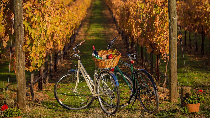 Passeio de bike entre as vinícolas de Mendoza