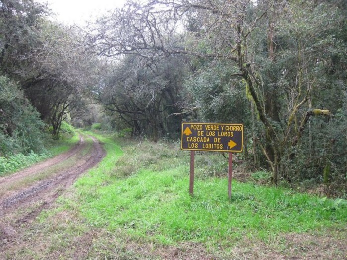 Parque Nacional El Rey: Argentina